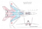 russian swifts-plan3vues1.jpg