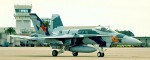 Hornet-image11.jpg