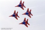 russian swifts-image06.jpg