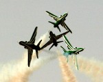 Saudi hawks-image03.jpg